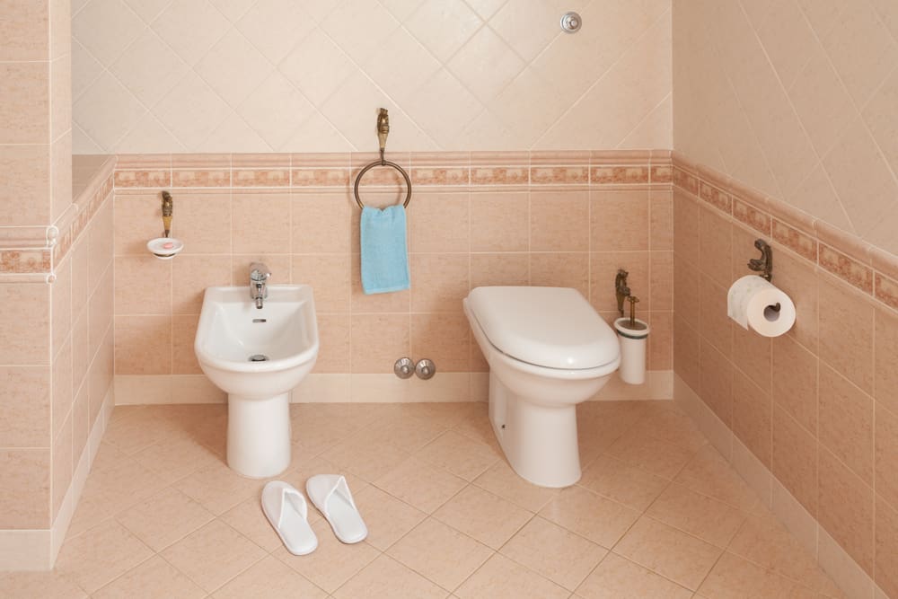 standalone bidet can't replace tp