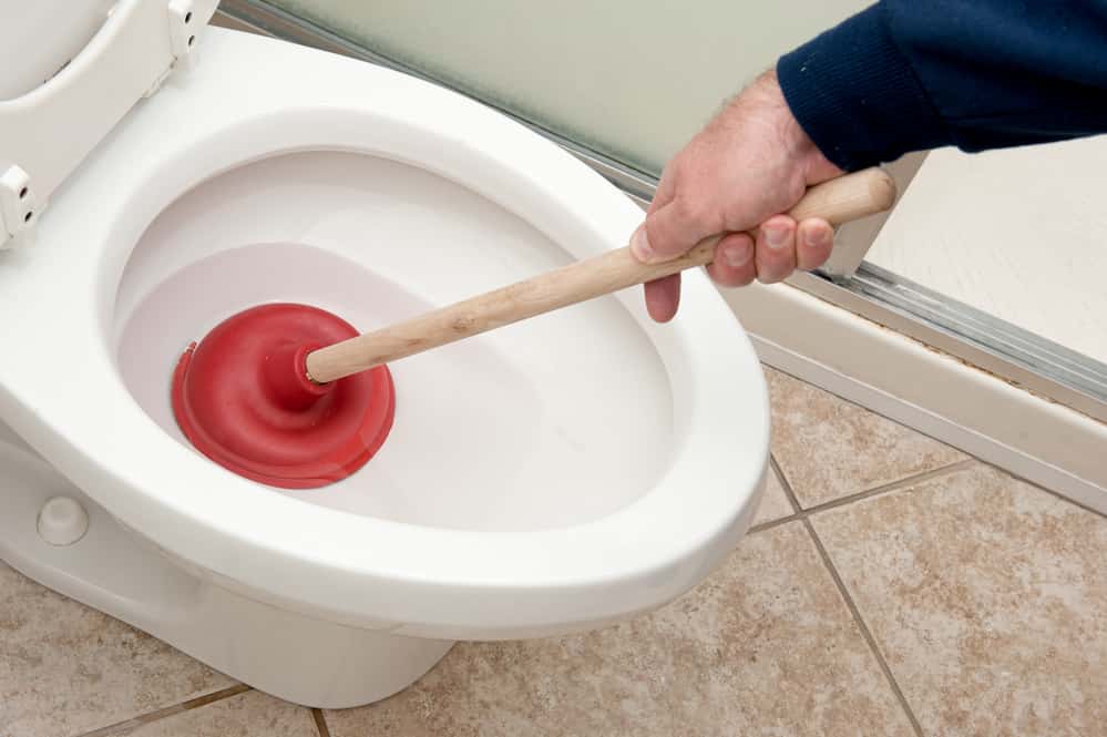 use plunger to press poop down