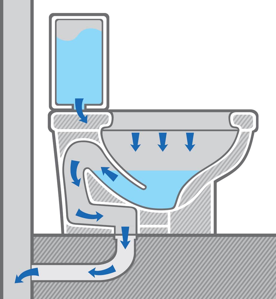 American toilet water level