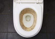 Black Mold in Toilet Bowl and Tank: Causes and How to Remove It
