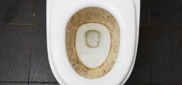 Black Mold in Toilet Bowl and Tank: Causes and How to Remove It