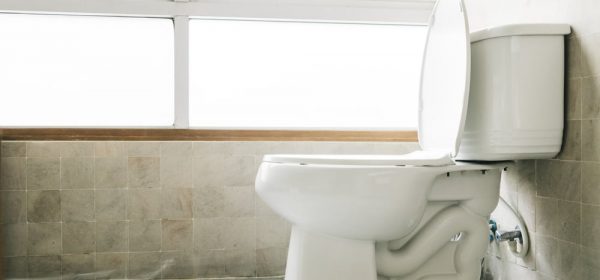 Why Is The Water Level In American Toilets So High? (3 Reasons Revealed)