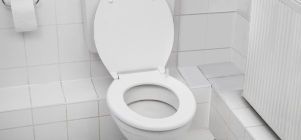 How long do toilet seats last and how often should you replace them?