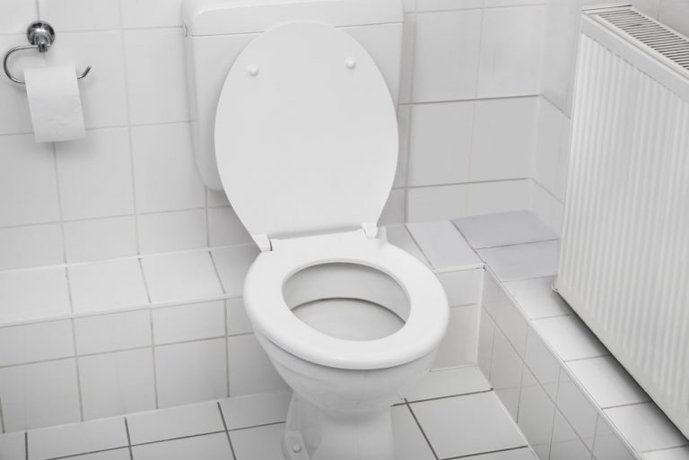 how long do toilet seats last