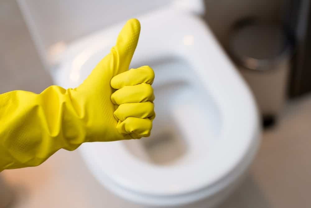 how often should you replace the toilet seat