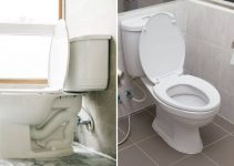 Siphonic Vs Washdown Toilet: Compare the Pros and Cons